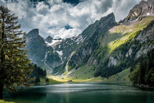 seealpsee seealpsee