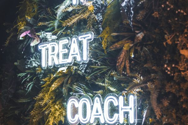 train-treat-coach train-treat-coach